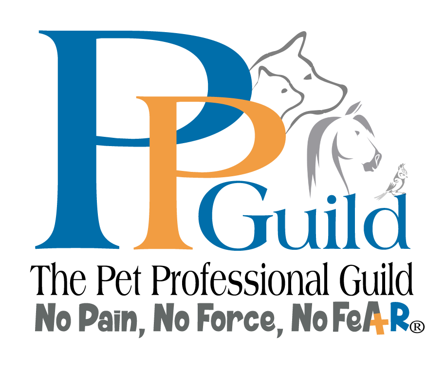 PPG Logo 2022
