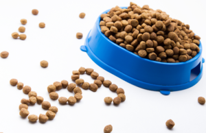 Discover the difference between adult dog food and puppy dog food. Learn how breed factors in when deciding how and when to switch your puppy to adult food.