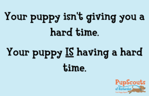 Your difficult puppy isn't giving you a hard time. Puppies can be anxious or stressed which is often misinterpreted.